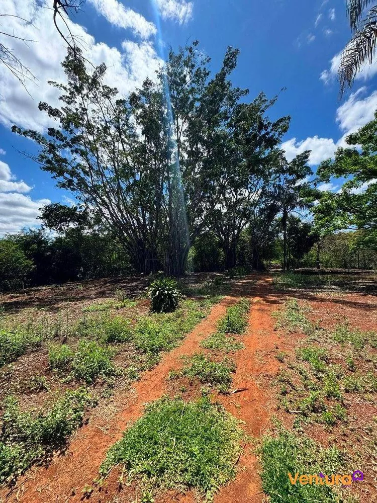 Sítio, 3 quartos, 4955 m² - Foto 4