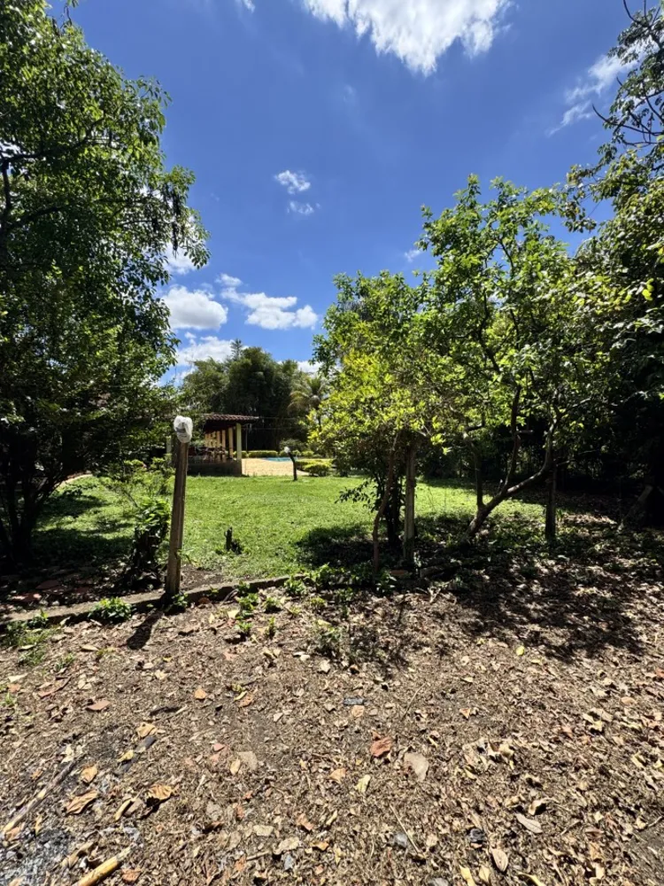 Sítio, 3 quartos, 4955 m² - Foto 8