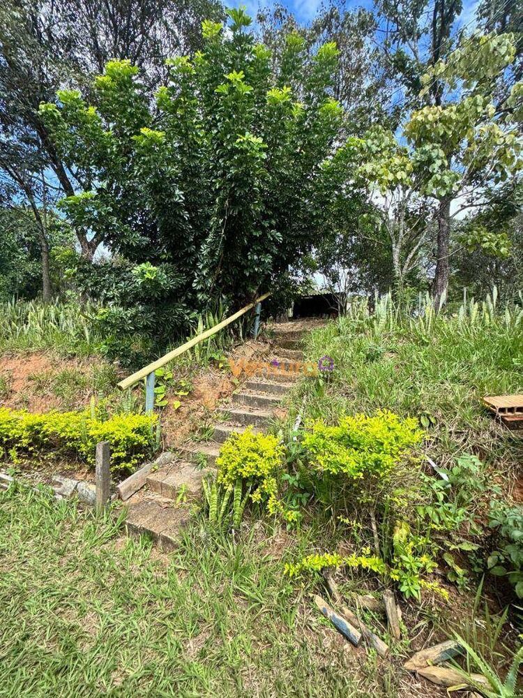 Sítio à venda com 10 quartos, 70000M2 - Foto 21