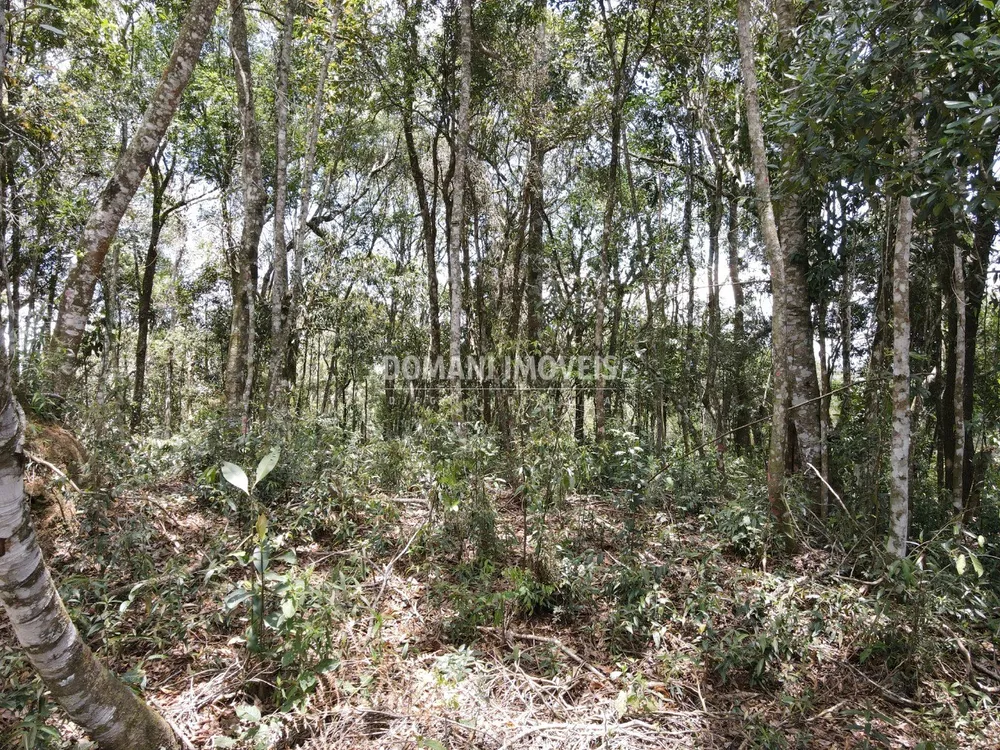 Terreno, 1350 m² - Foto 1