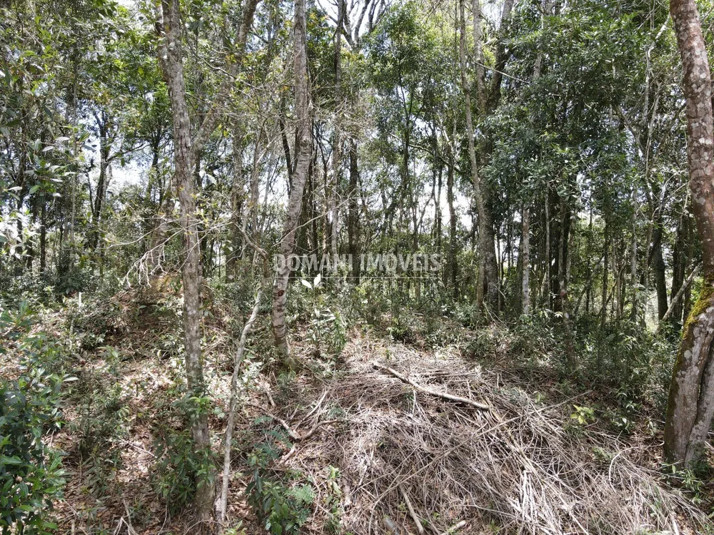 Terreno, 1350 m² - Foto 4
