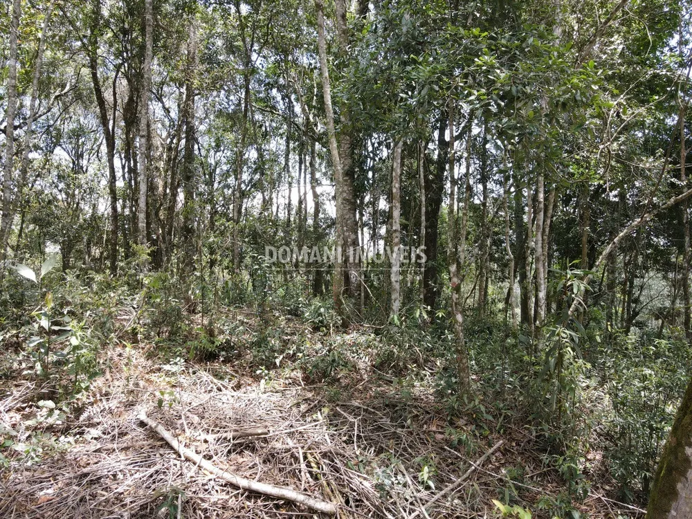 Terreno, 1350 m² - Foto 5
