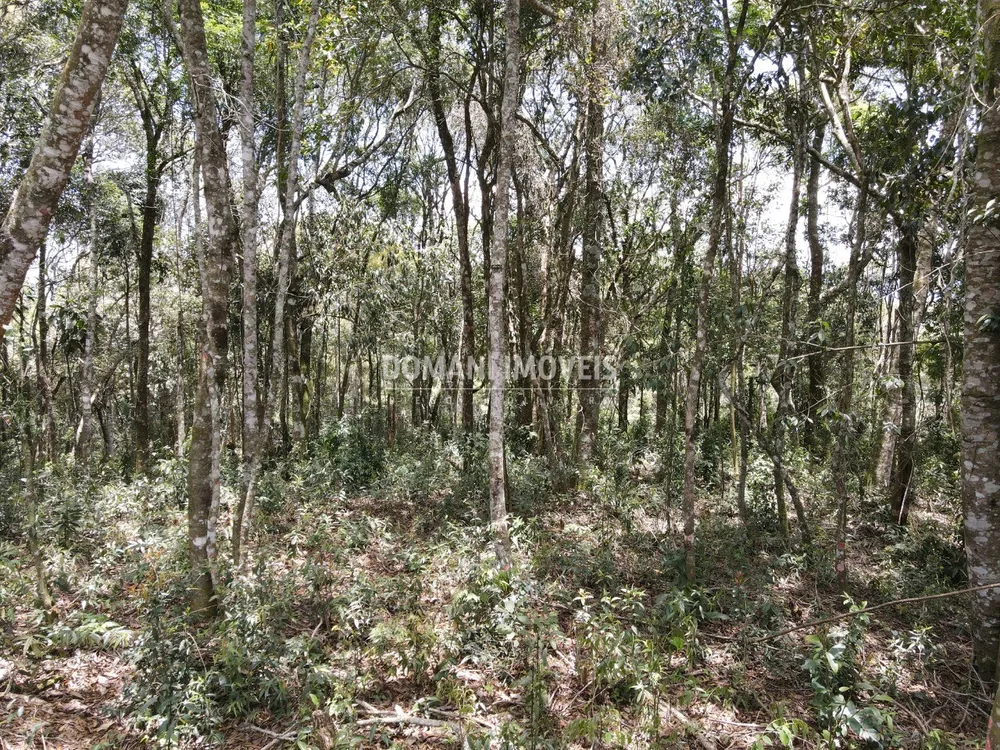 Terreno, 1350 m² - Foto 7