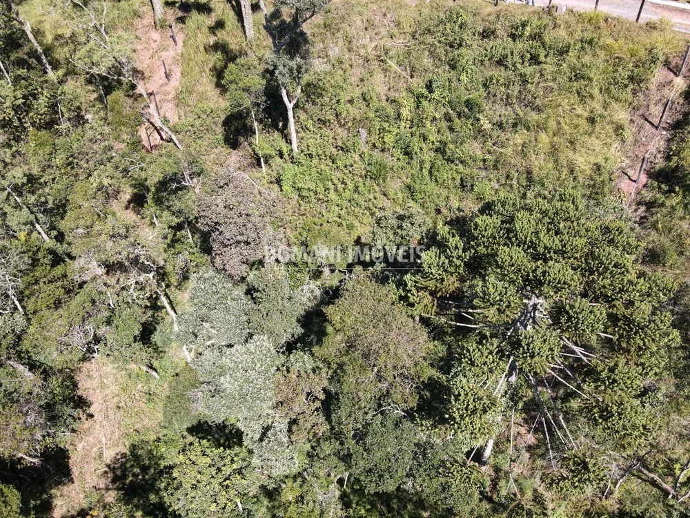 Terreno, 2080 m² - Foto 6