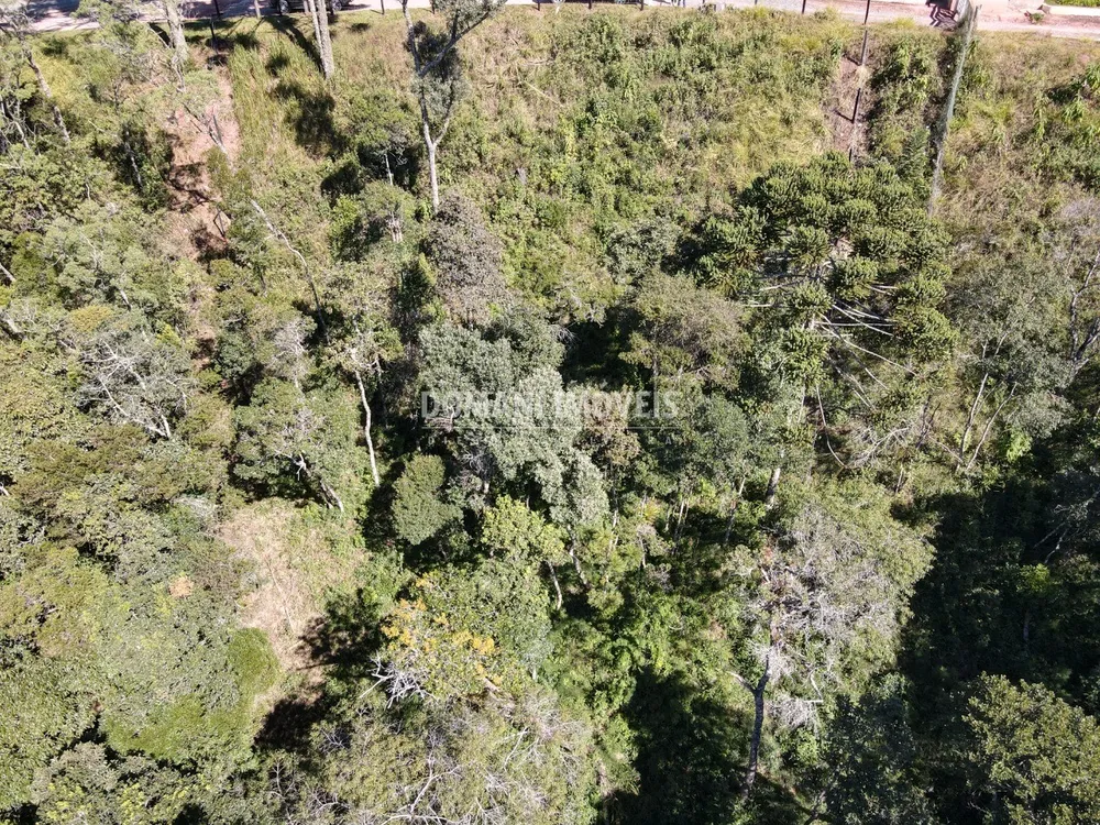 Terreno, 2080 m² - Foto 3