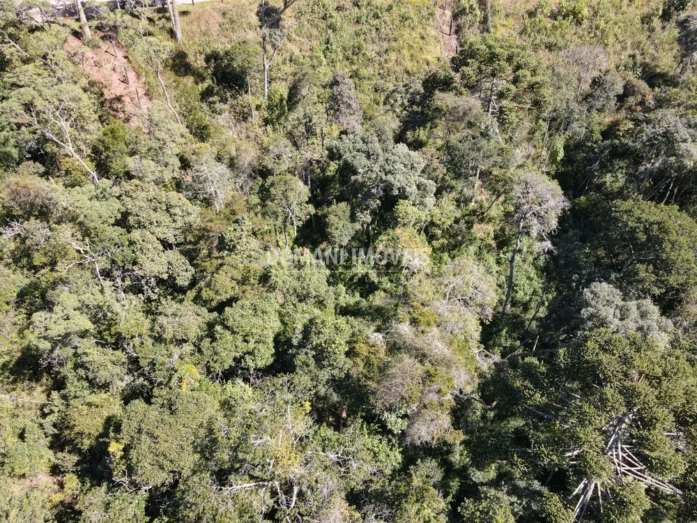 Terreno, 2080 m² - Foto 8
