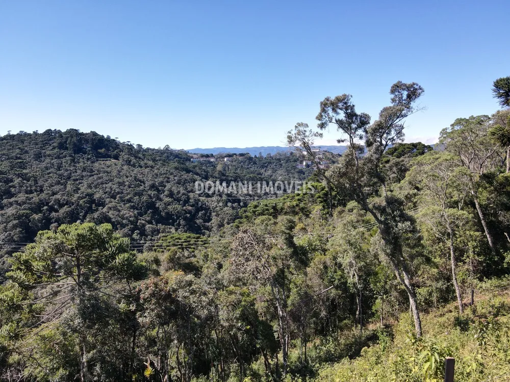 Terreno, 2080 m² - Foto 5