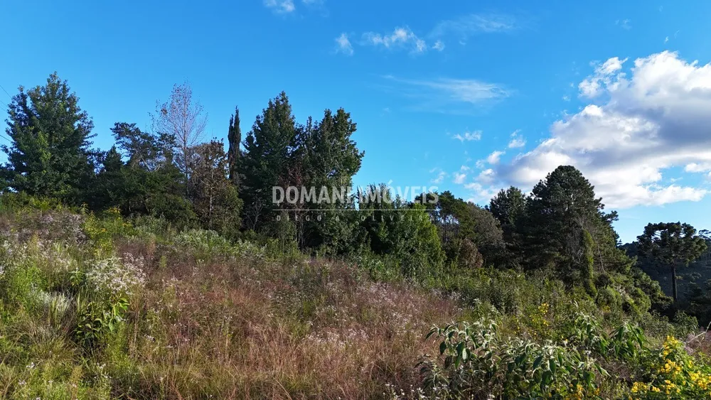 Terreno, 2800 m² - Foto 4