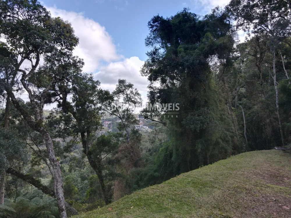 Terreno, 1115 m² - Foto 6