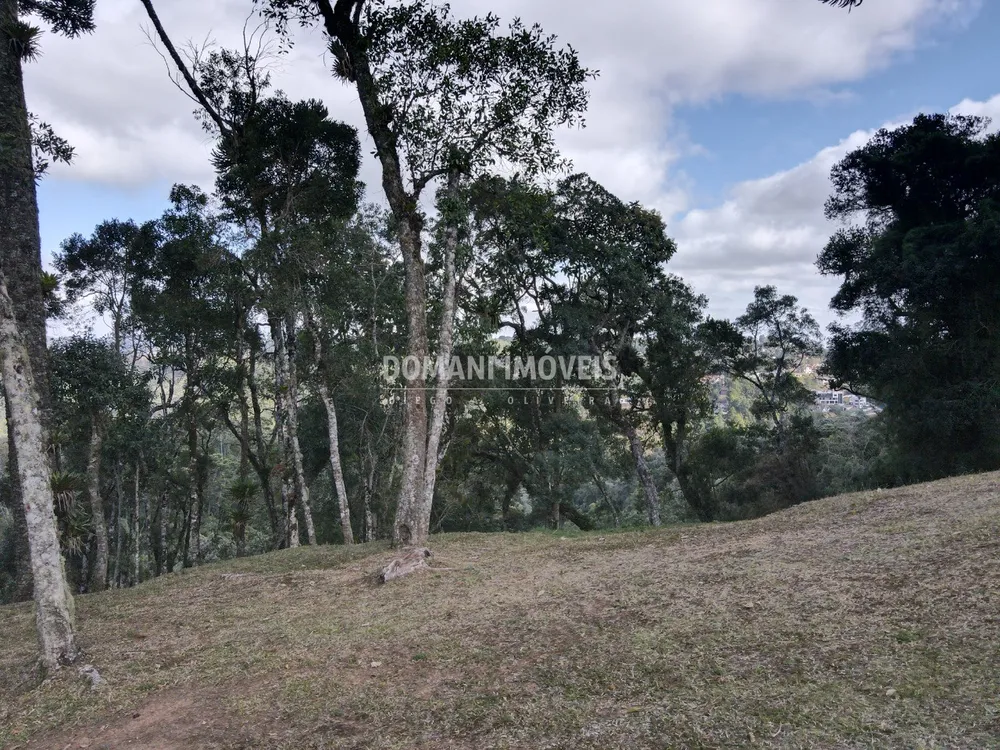 Terreno, 1115 m² - Foto 8