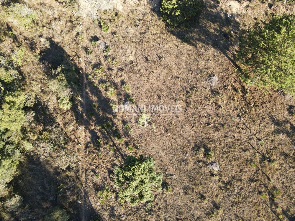 Terreno, 2700 m² - Foto 3