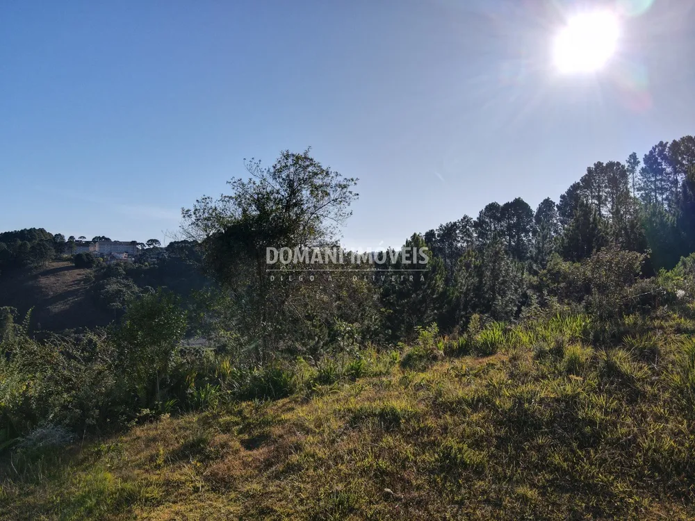 Terreno, 636 m² - Foto 4