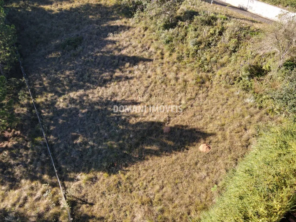 Terreno, 636 m² - Foto 3