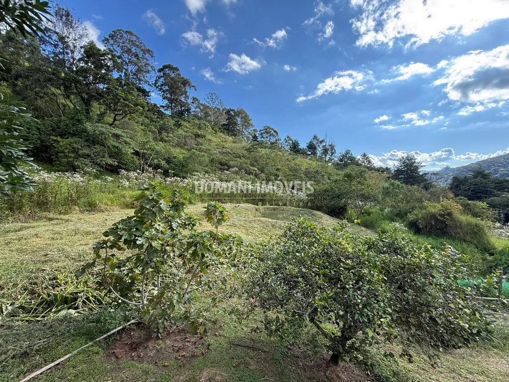 Terreno - Foto 6