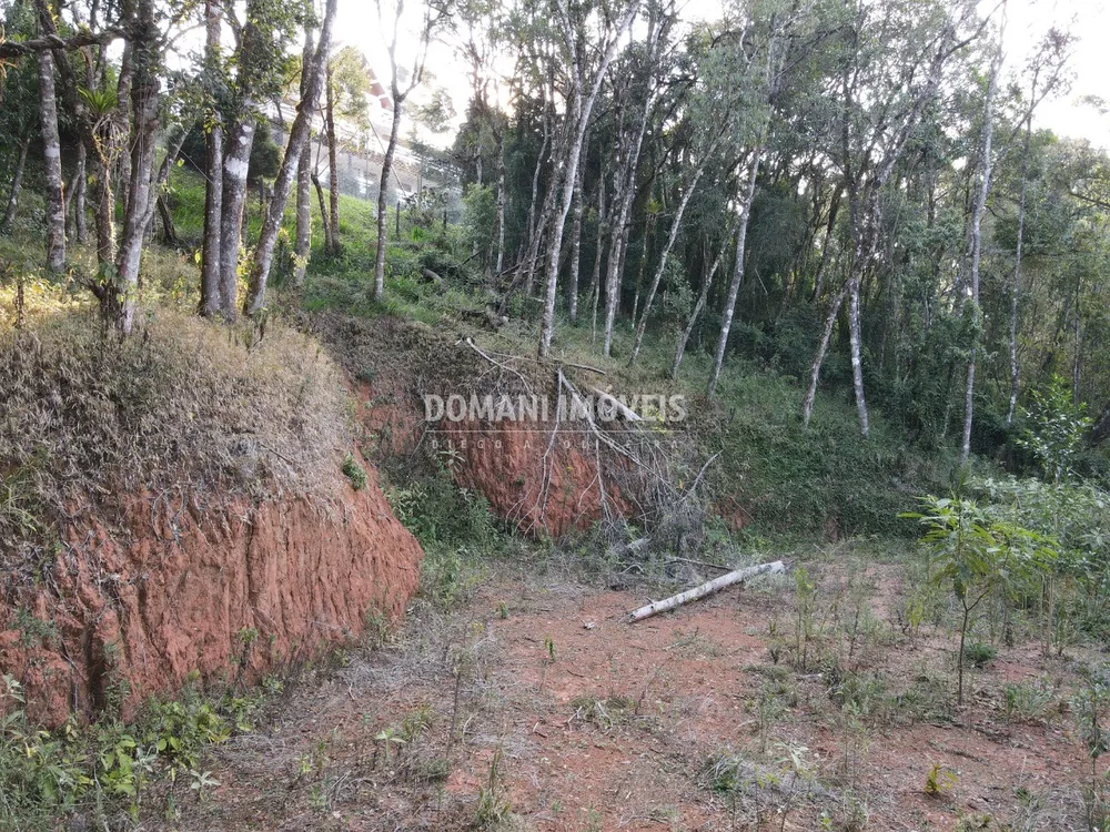 Terreno, 1010 m² - Foto 4