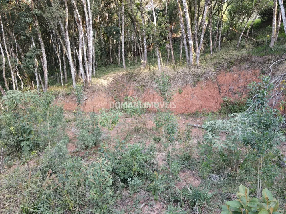 Terreno, 1010 m² - Foto 1