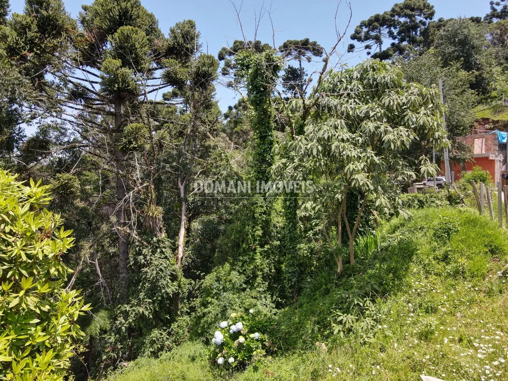 Terreno, 450 m² - Foto 3