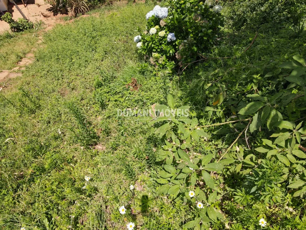 Terreno, 450 m² - Foto 2