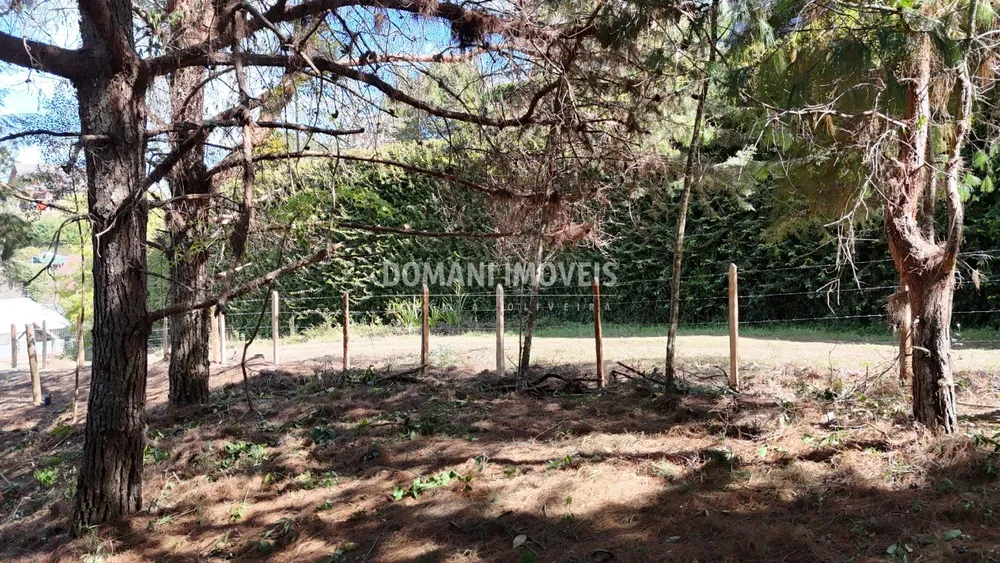 Terreno, 1182 m² - Foto 2