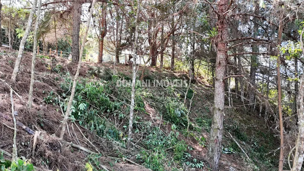 Terreno, 1182 m² - Foto 6