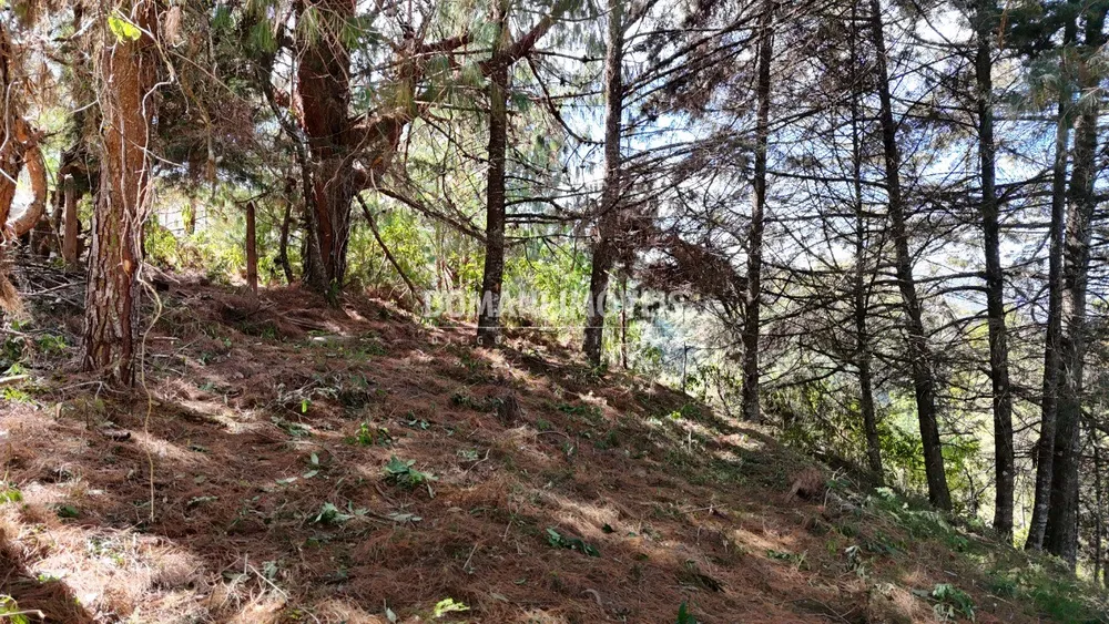 Terreno, 1182 m² - Foto 4