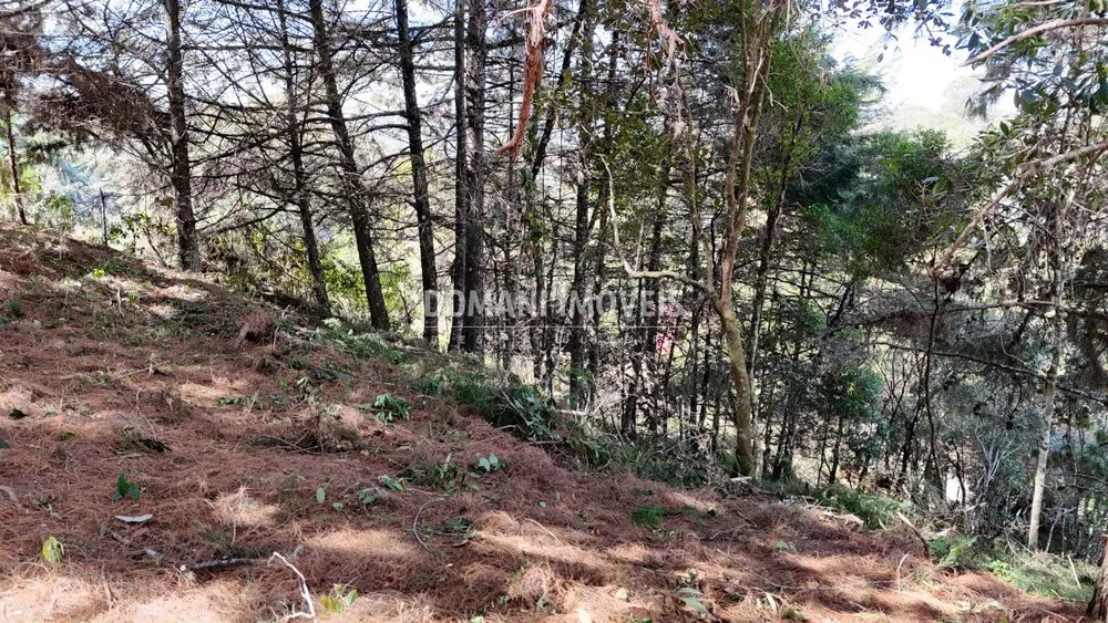 Terreno, 1182 m² - Foto 1