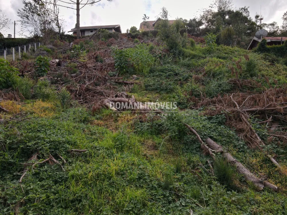 Terreno, 1110 m² - Foto 6