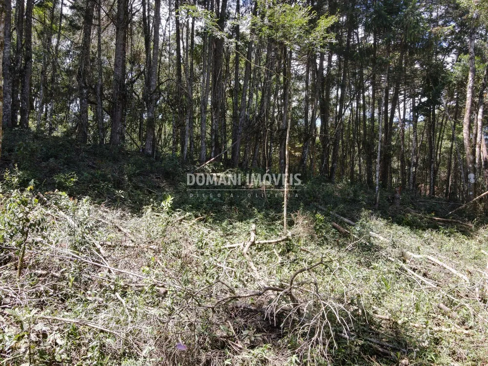 Terreno, 2270 m² - Foto 5