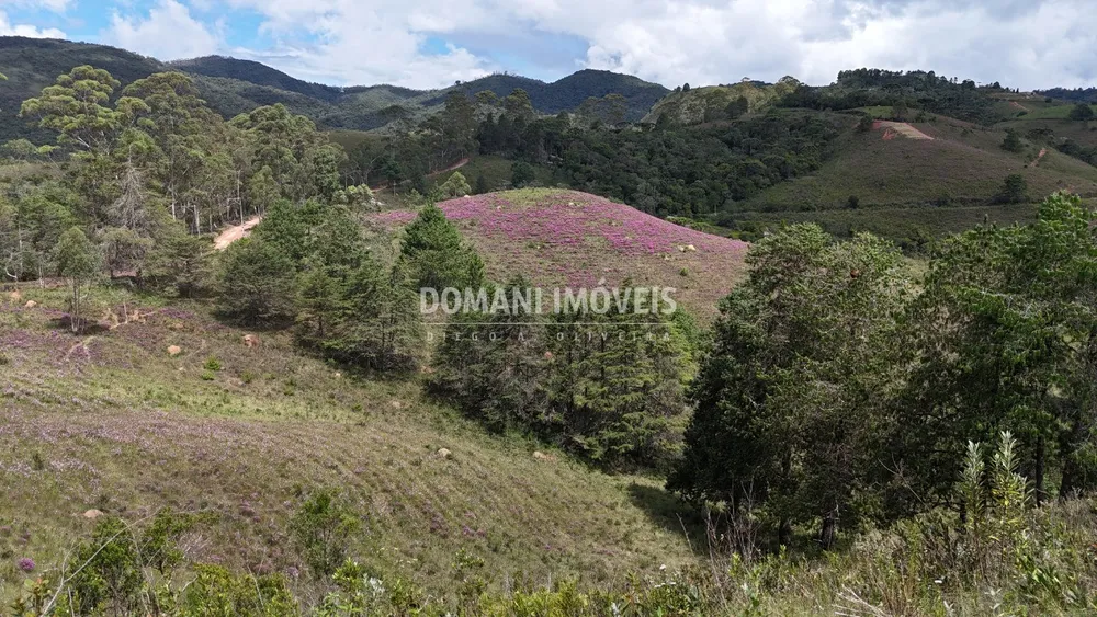 Terreno, 7090 m² - Foto 5