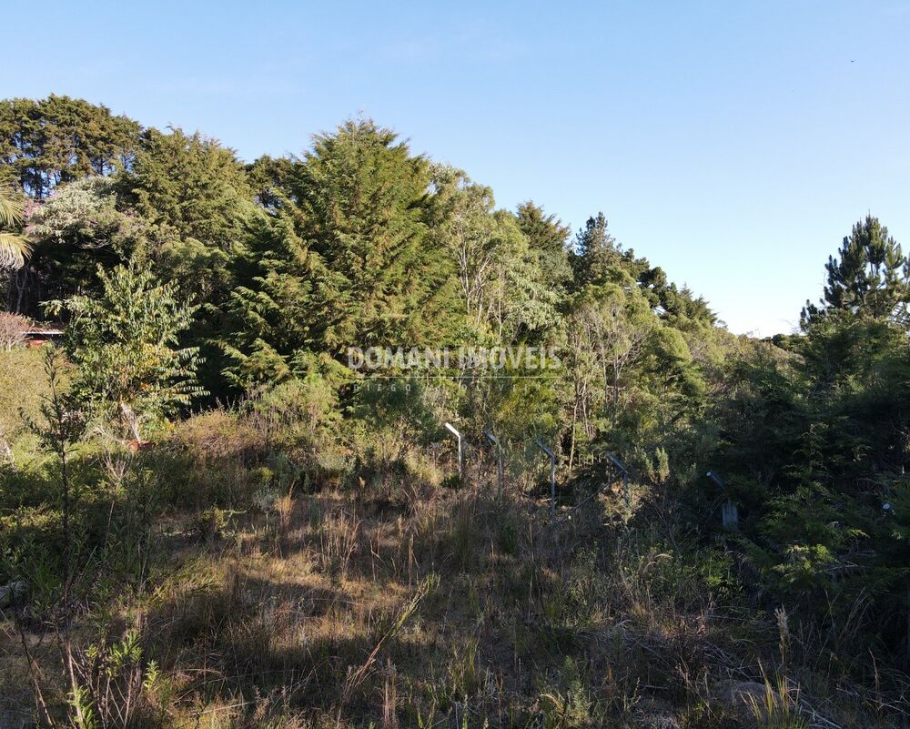 Terreno, 1450 m² - Foto 8