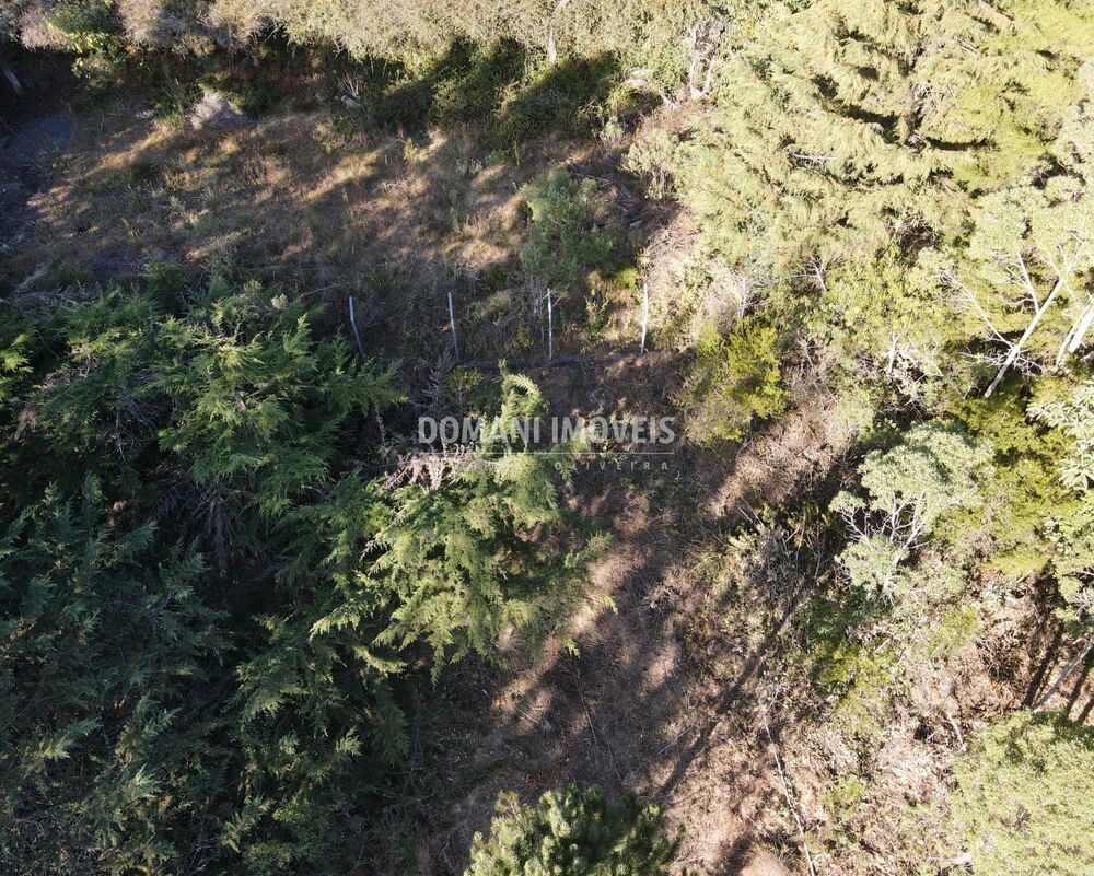 Terreno, 1450 m² - Foto 7