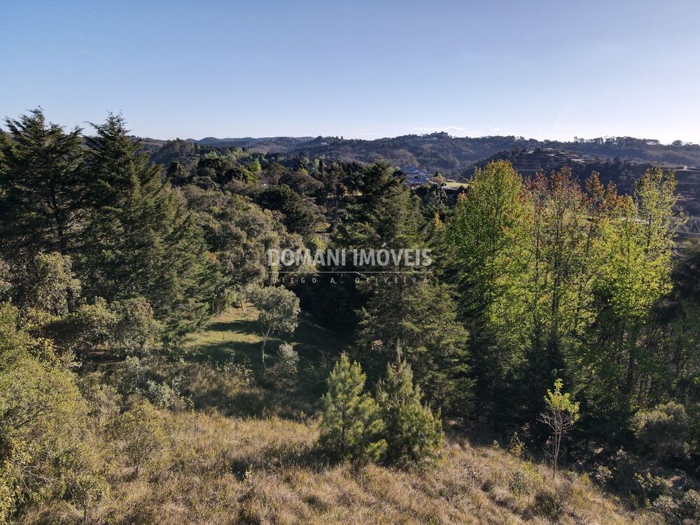 Terreno, 2910 m² - Foto 4