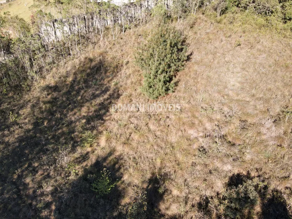 Terreno, 2910 m² - Foto 7