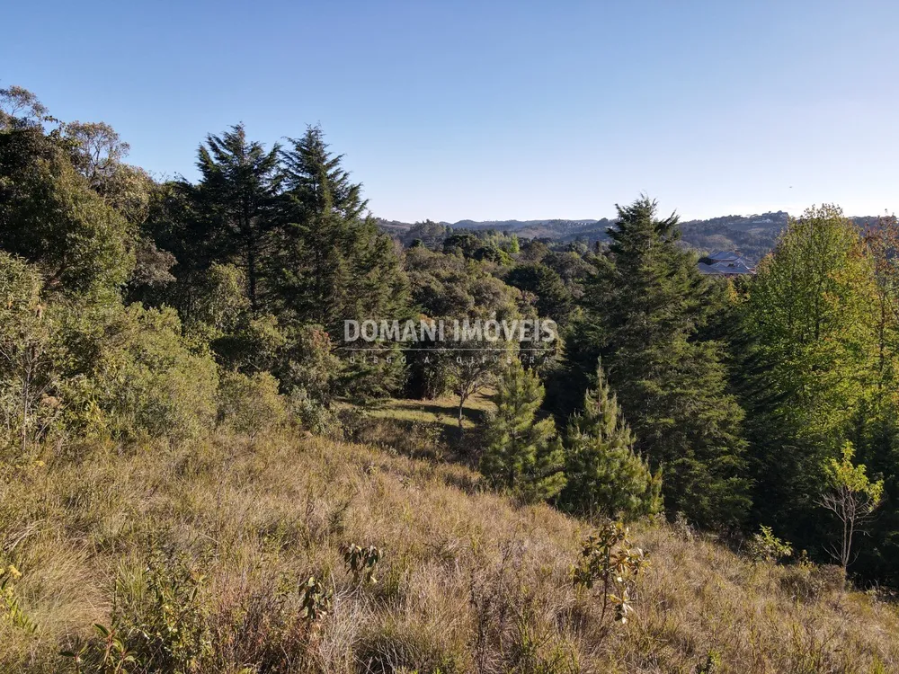 Terreno, 2910 m² - Foto 5