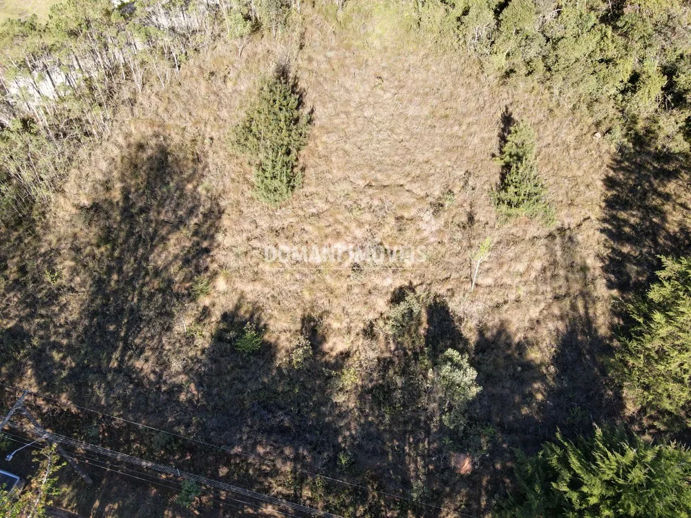 Terreno, 2910 m² - Foto 11
