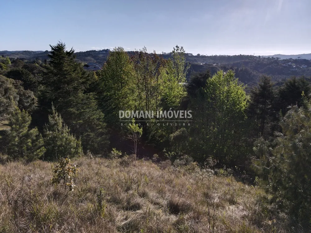 Terreno, 2910 m² - Foto 10