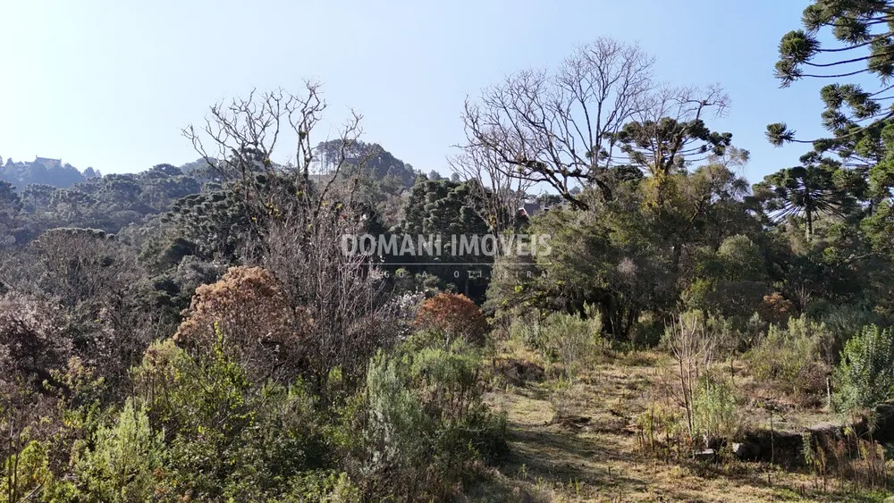 Terreno - Foto 6