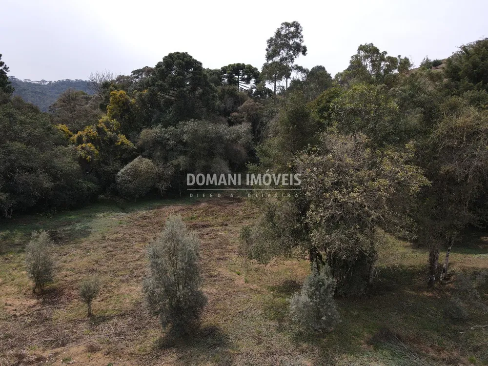Terreno, 2400 m² - Foto 8