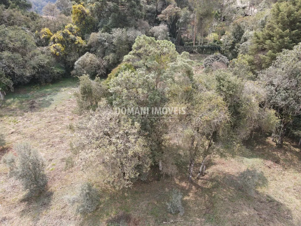 Terreno, 2400 m² - Foto 7