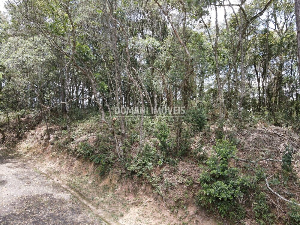 Terreno, 1350 m² - Foto 2