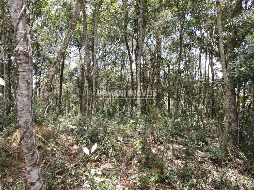 Terreno, 1350 m² - Foto 9