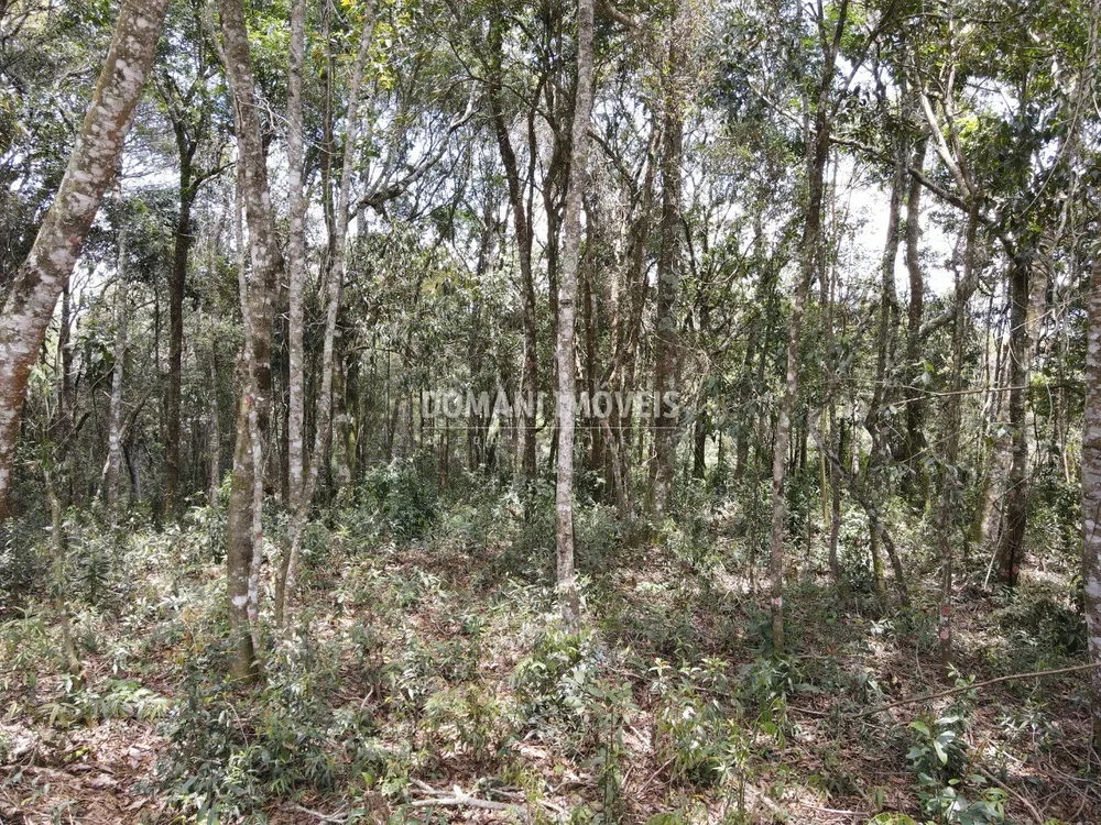 Terreno, 1350 m² - Foto 10