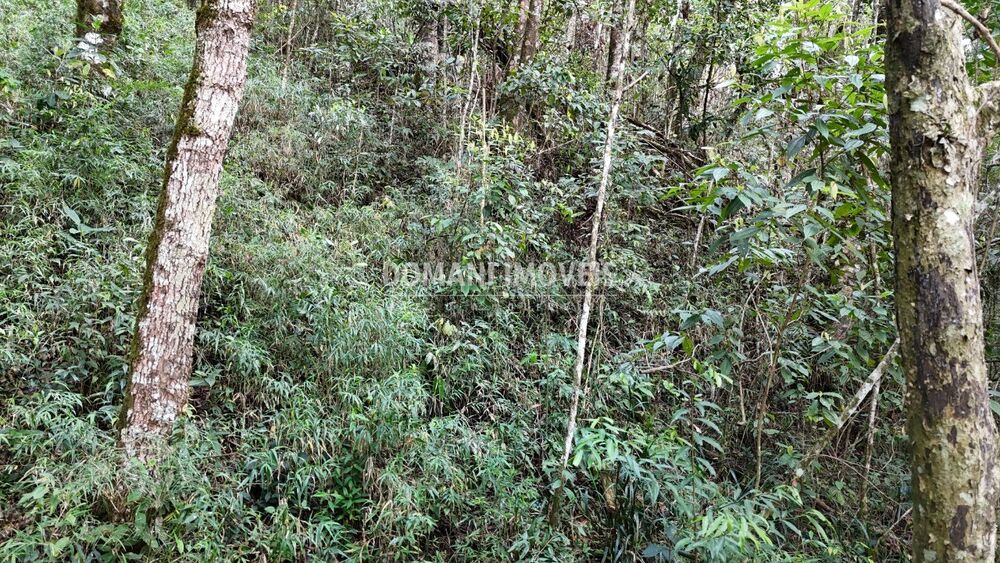 Terreno, 1040 m² - Foto 8