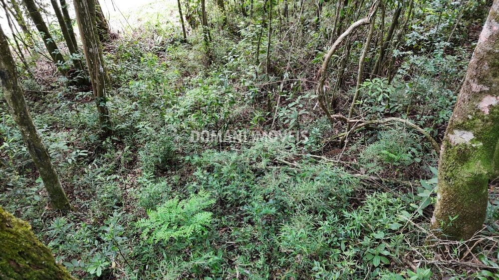 Terreno, 1040 m² - Foto 3