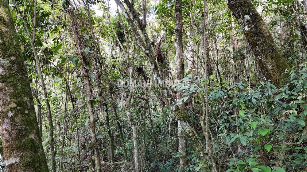 Terreno, 1040 m² - Foto 4