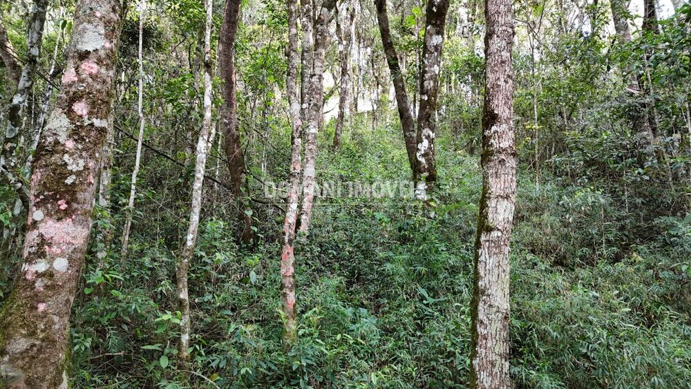 Terreno, 1040 m² - Foto 10