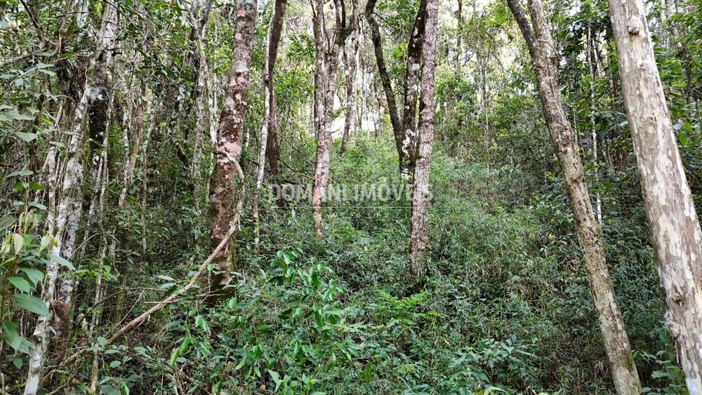 Terreno, 1040 m² - Foto 2