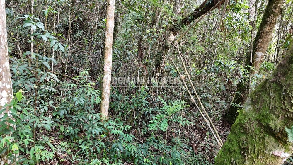 Terreno, 1040 m² - Foto 11