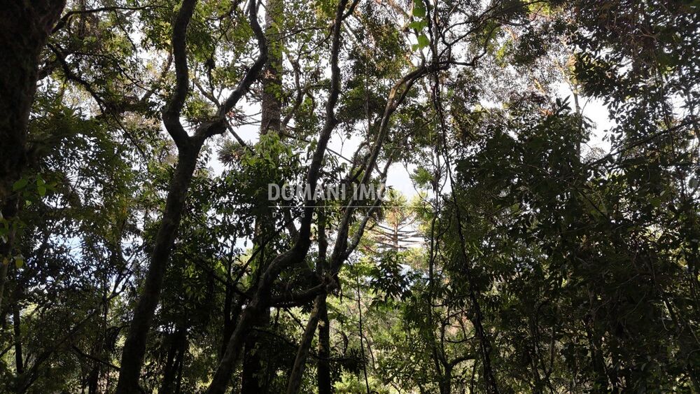 Terreno, 1040 m² - Foto 7