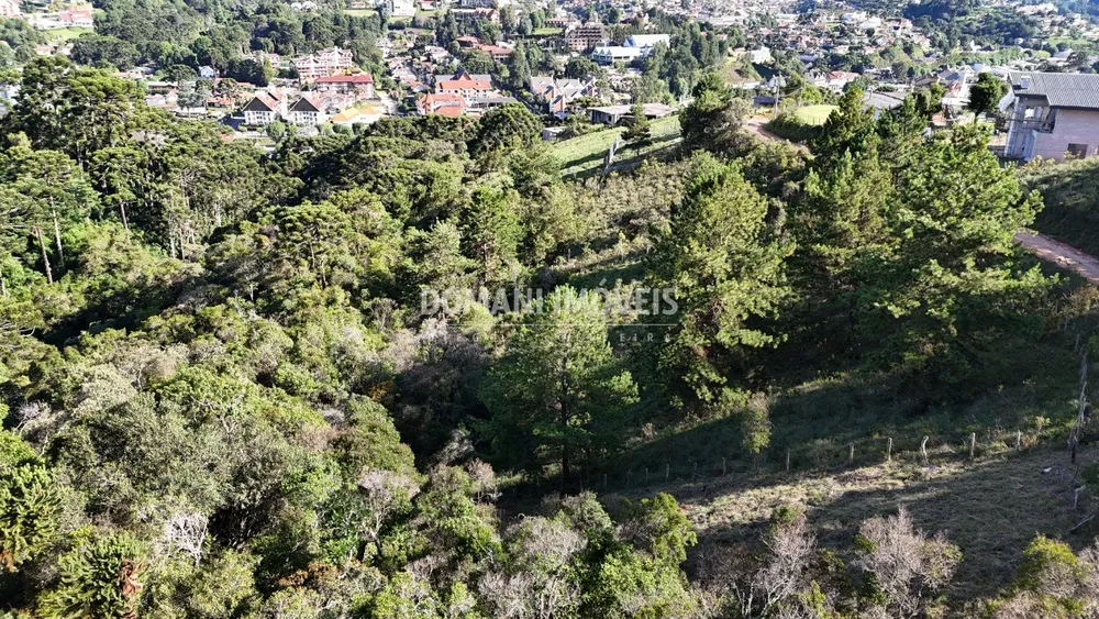 Terreno, 1245 m² - Foto 8